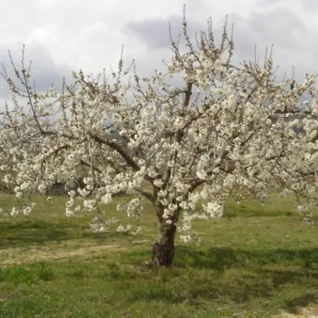 Bastide St Victor A 2,5 Kilometres De Lourmarin * Puyvert